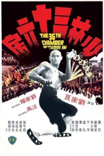 دانلود فیلم The 36th Chamber of Shaolin 1978418237-1077000819