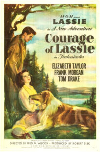 دانلود فیلم Courage of Lassie 1946417427-506492782
