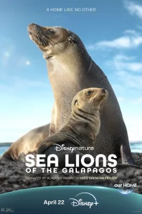 دانلود مستند Sea Lions of the Galapagos 2025431056-453176118