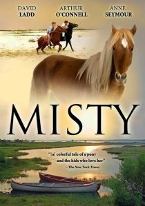 دانلود فیلم Misty 1961436665-1333172308