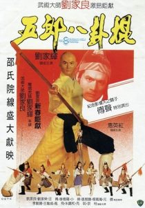 دانلود فیلم The 8 Diagram Pole Fighter 1984437377-847747843
